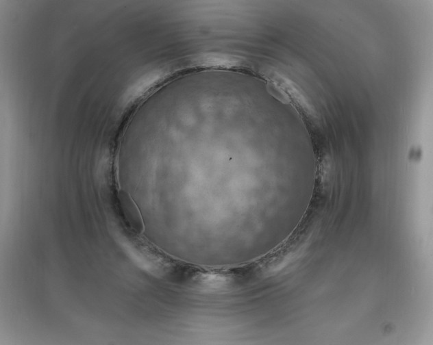 X0000097670352200803142159