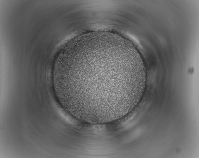 X0000097670353200803142159