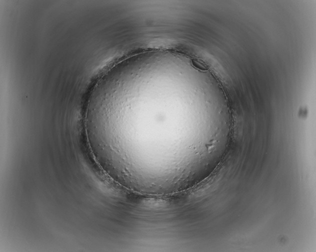 X0000097670354200803142159