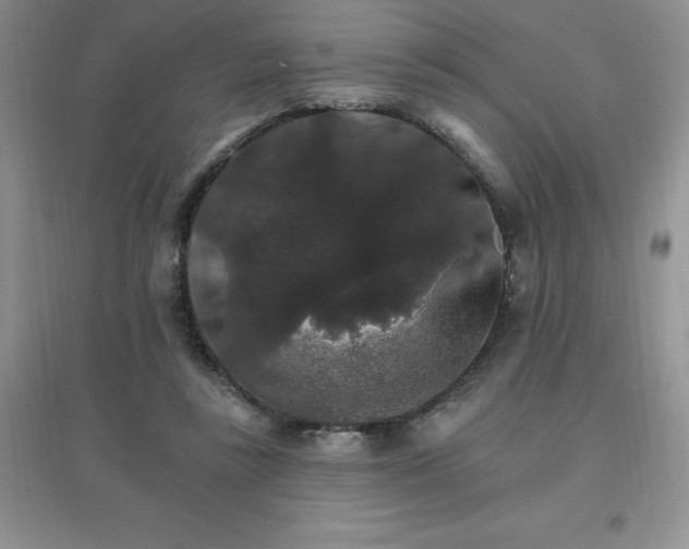 X0000097670355200803142159