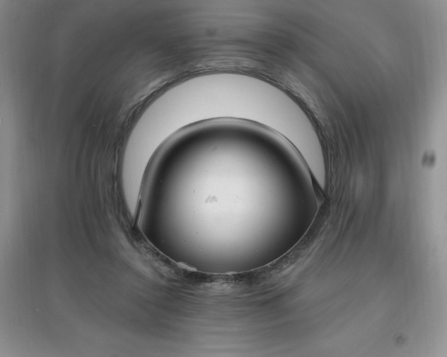 X0000097670356200803142159