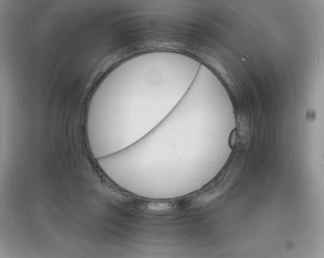 X0000097670357200803142159