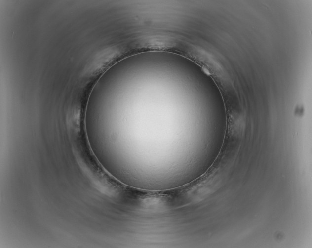 X0000097670358200803142159