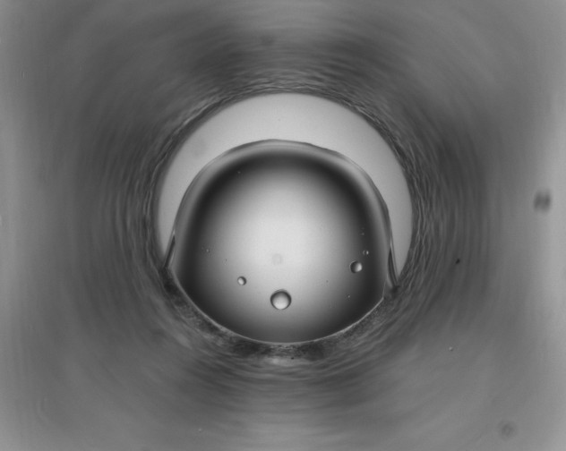 X0000097670360200803142159