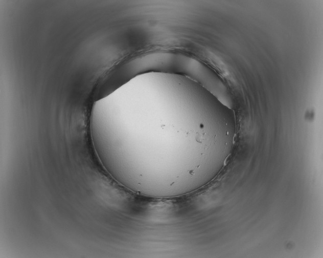 X0000097670362200803142159