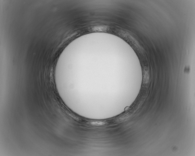 X0000097670363200803142159
