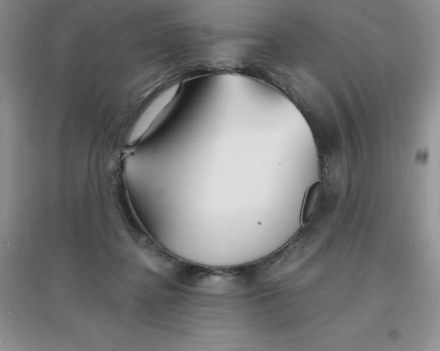 X0000097670364200803142159