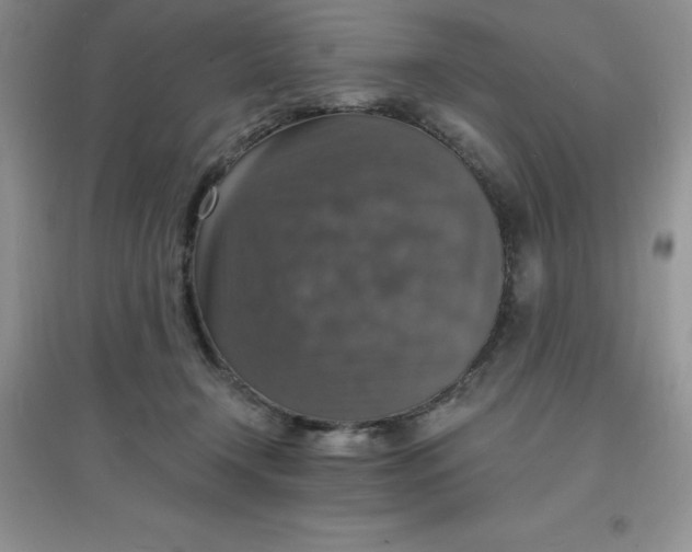 X0000097670366200803142159