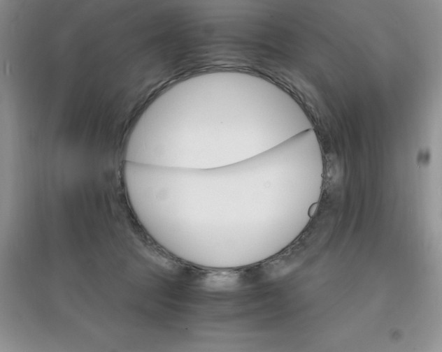 X0000097670369200803142159