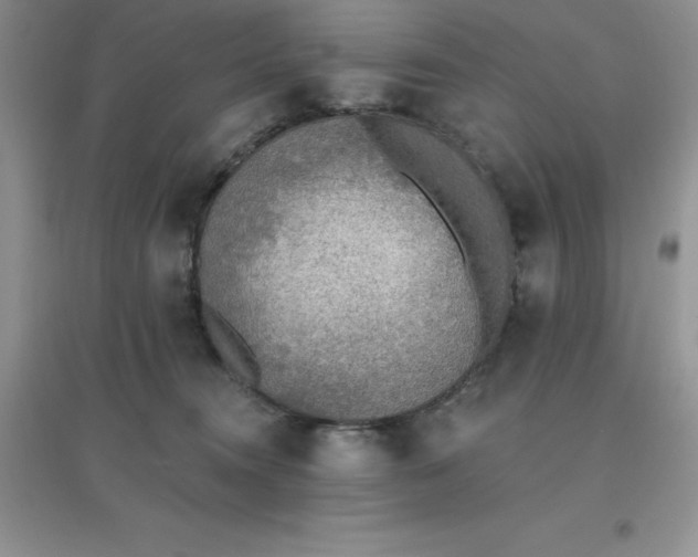 X0000097670372200803142159