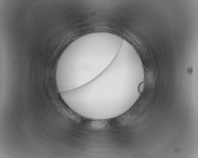 X0000097670373200803142159