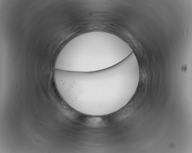 X0000097670374200803142159