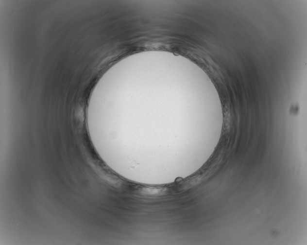 X0000097670375200803142159
