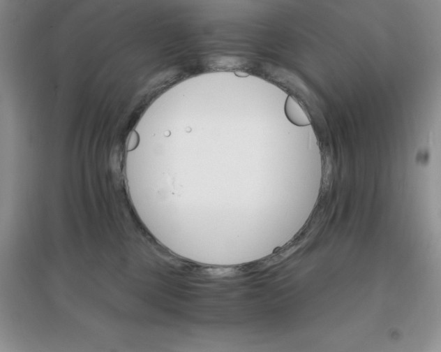 X0000097670377200803142159