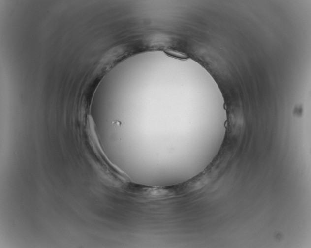 X0000097670379200803142200