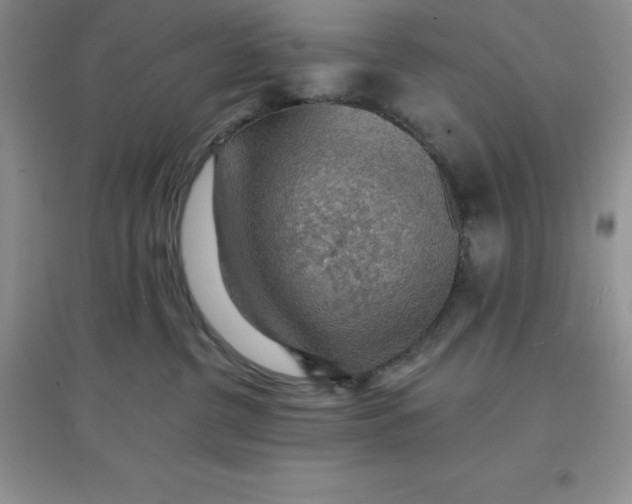 X0000097670380200803142200