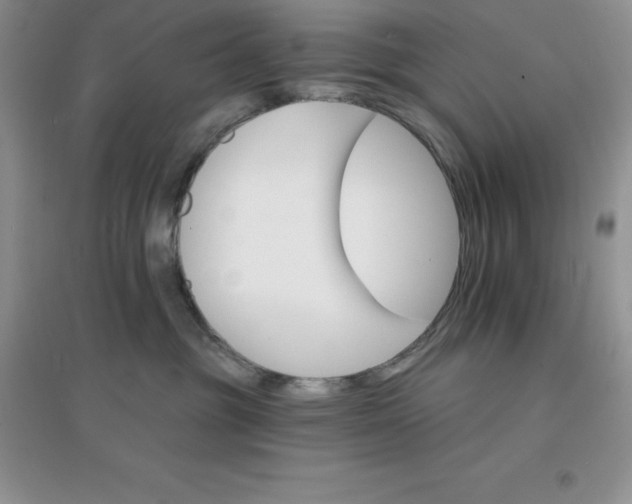 X0000097670381200803142200