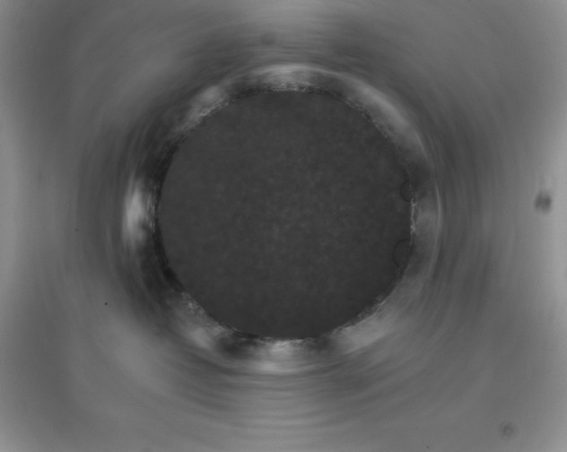 X0000097670382200803142200