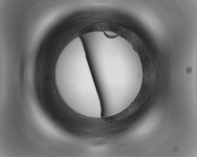 X0000097670383200803142200
