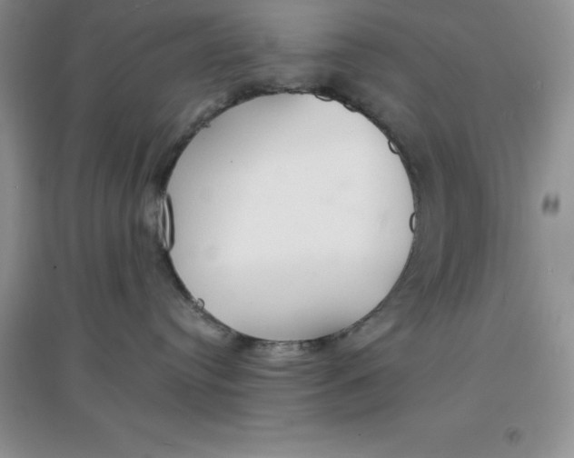X0000097670384200803142200