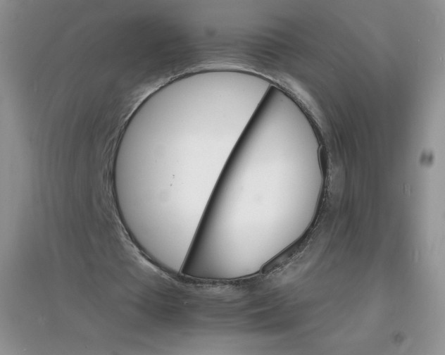 X0000097670385200803142159