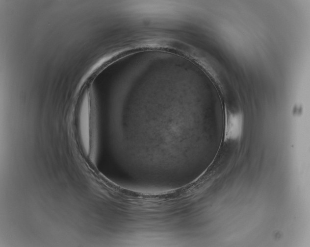 X0000097670387200803142159