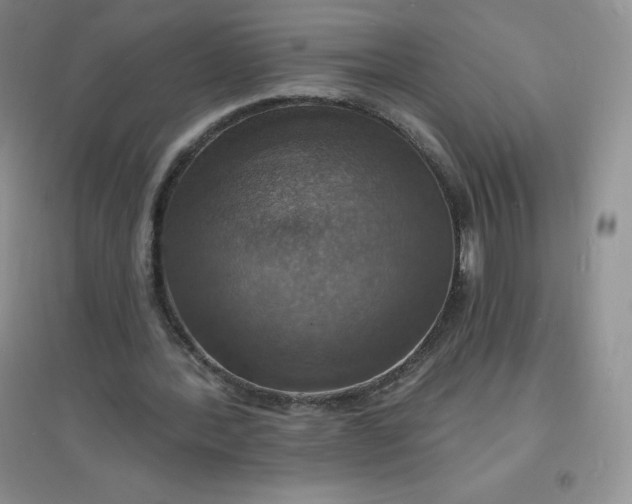 X0000097670388200803142159