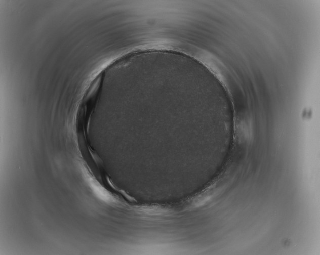 X0000097670389200803142159