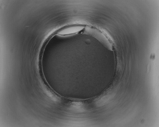 X0000097670391200803142159