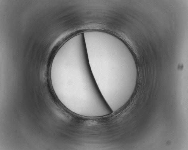 X0000097670392200803142159