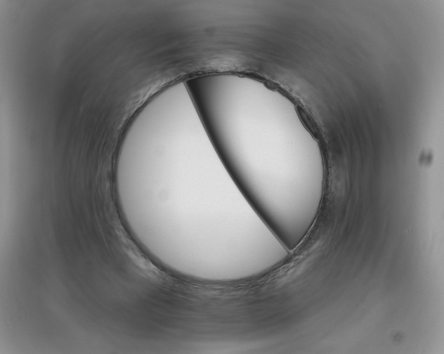 X0000097670393200803142159