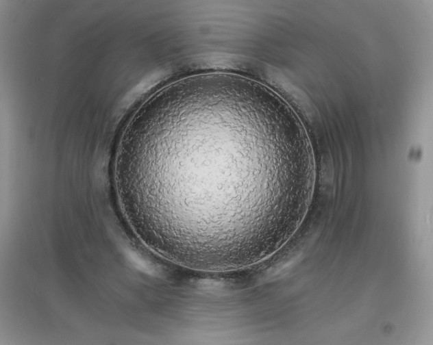 X0000097670394200803142159
