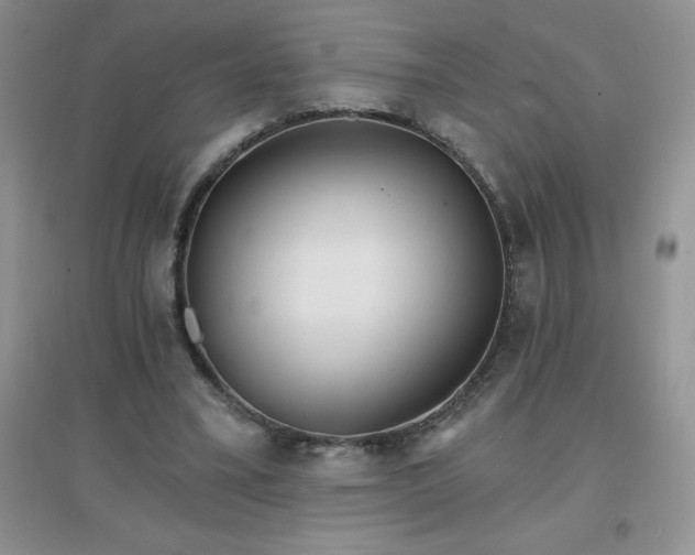 X0000097670395200803142159