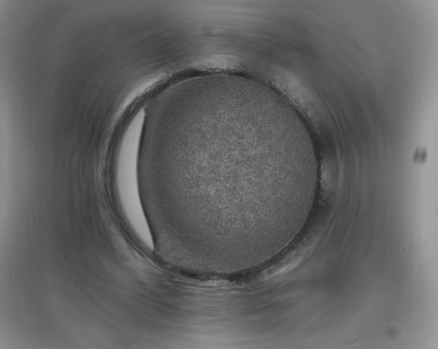 X0000097670396200803142159