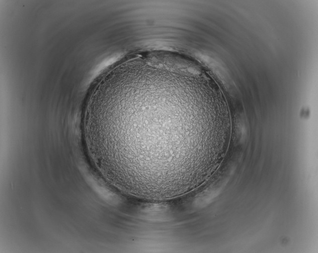 X0000097670398200803142159