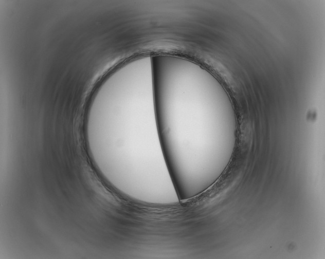 X0000097670399200803142159