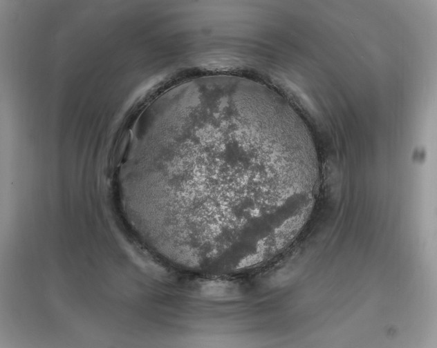 X0000097670400200803142159