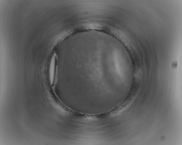 X0000097670402200803142159