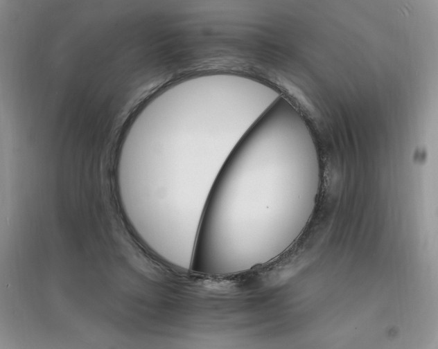 X0000097670403200803142159