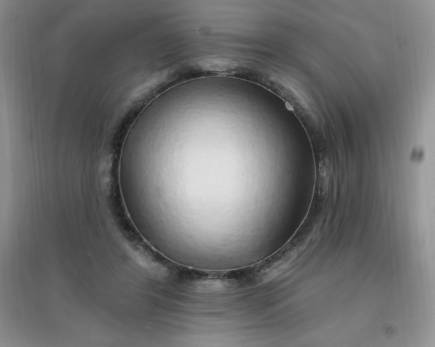 X0000097670404200803142159