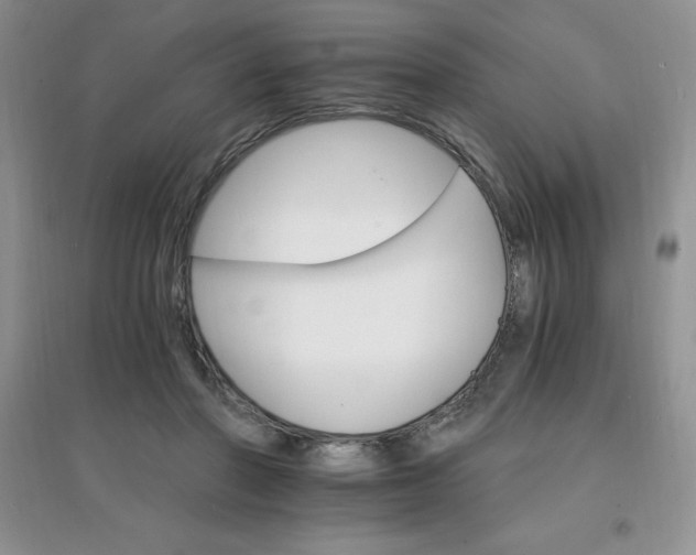 X0000097670406200803142159