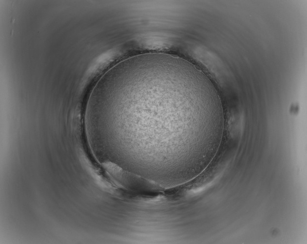 X0000097670407200803142159