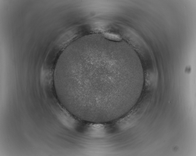 X0000097670409200803142159