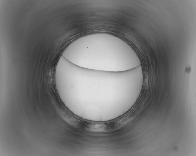 X0000097670410200803142159