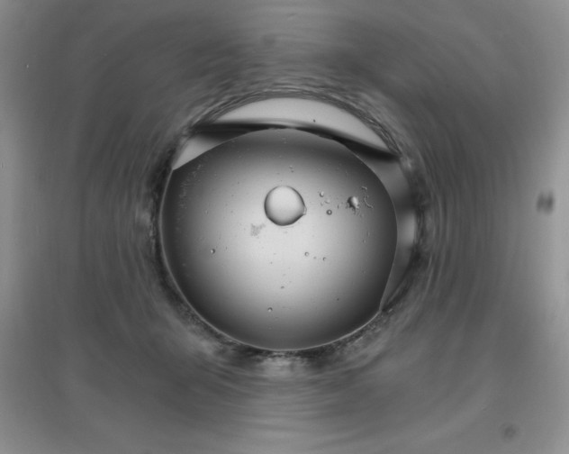 X0000097670415200803142159