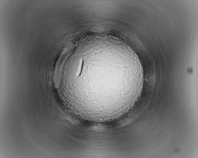 X0000097670416200803142158