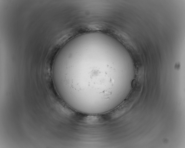 X0000097670418200803142158