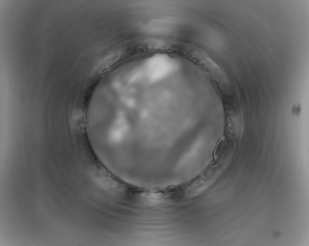 X0000097670419200803142158