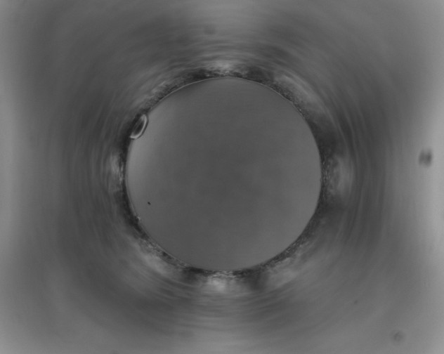 X0000097670420200803142158
