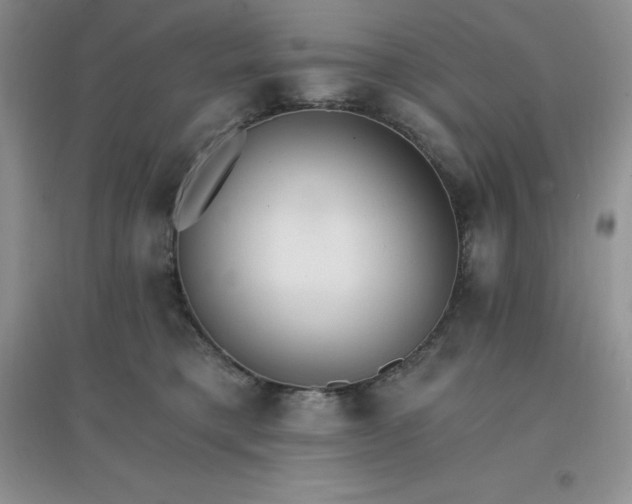 X0000097670421200803142158